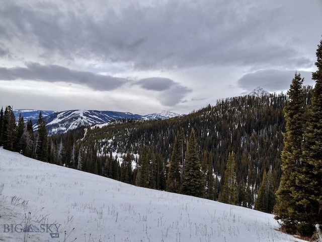 LOT16 Beehive Basin Rd, Big Sky, MT 59716 - photo 39