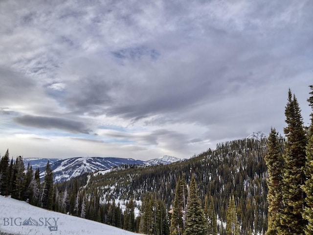 LOT16 Beehive Basin Rd, Big Sky, MT 59716 - photo 41