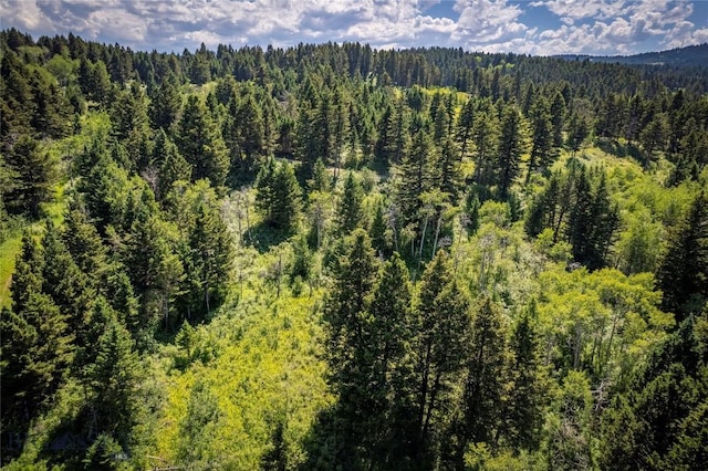 TBD Livingston Peak Rd, Livingston, MT 59047 - photo 2