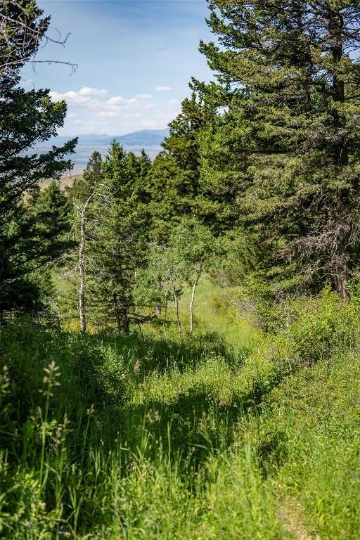 TBD Livingston Peak Rd, Livingston, MT 59047 - photo 8