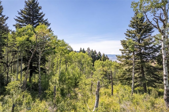 TBD Livingston Peak Rd, Livingston, MT 59047 - photo 11
