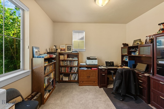 3825 Equestrian Ln, Bozeman, MT 59718 - photo 34
