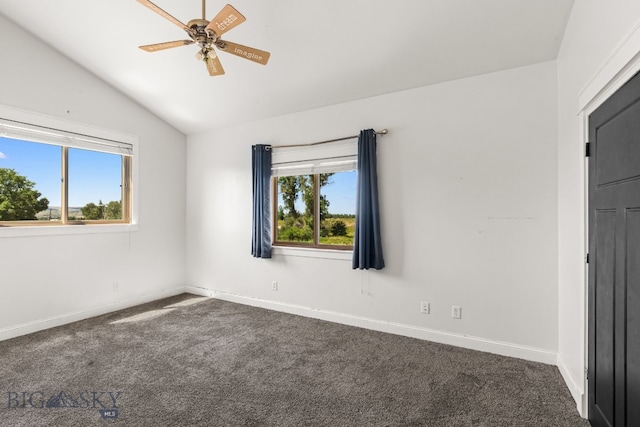 236 Holland Ln, Bozeman, MT 59718 - photo 50