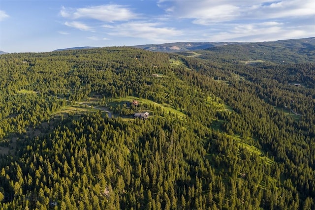 285 Majestic Peaks, Big Sky, MT 59716 - photo 84