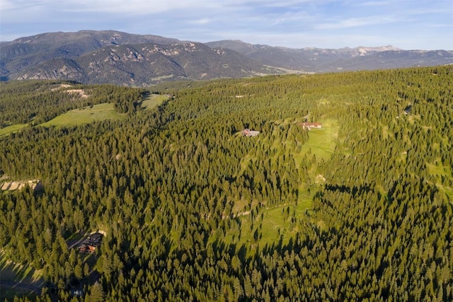285 Majestic Peaks, Big Sky, MT 59716 - photo 86
