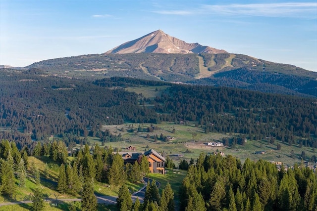 285 Majestic Peaks, Big Sky, MT 59716 - photo 91