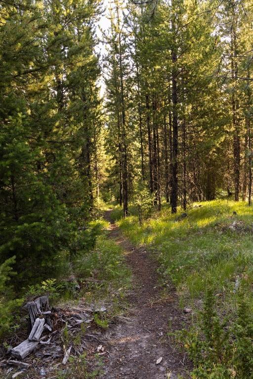 285 Majestic Peaks, Big Sky, MT 59716 - photo 97