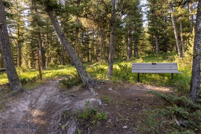 285 Majestic Peaks, Big Sky, MT 59716 - photo 98