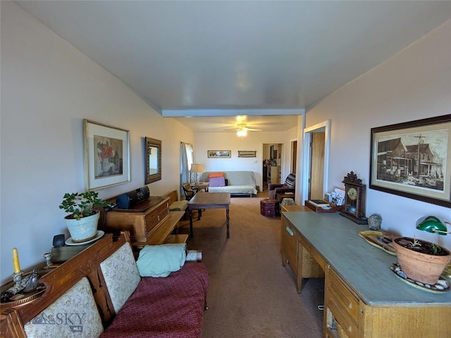 131 W Daly, Walkerville, MT 59701 - photo 8