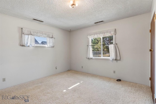 441 Valley Dr, Bozeman, MT 59718 - photo 32