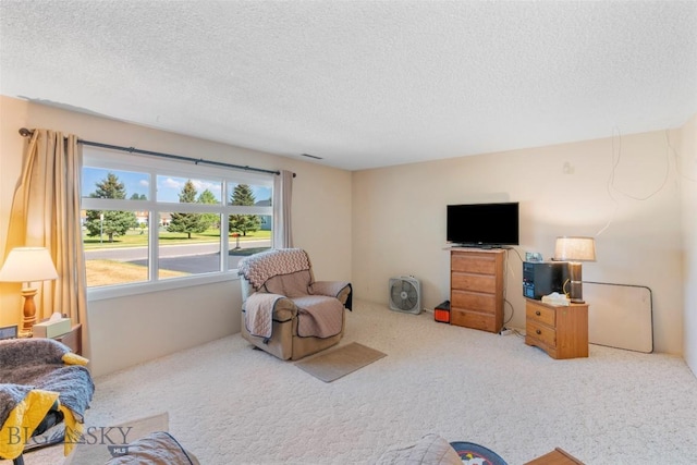 441 Valley Dr, Bozeman, MT 59718 - photo 13