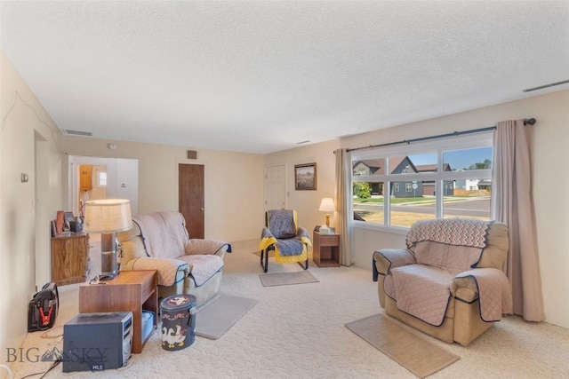 441 Valley Dr, Bozeman, MT 59718 - photo 14