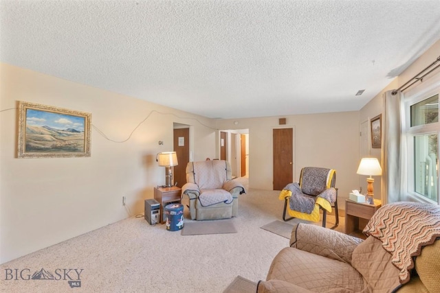 441 Valley Dr, Bozeman, MT 59718 - photo 15