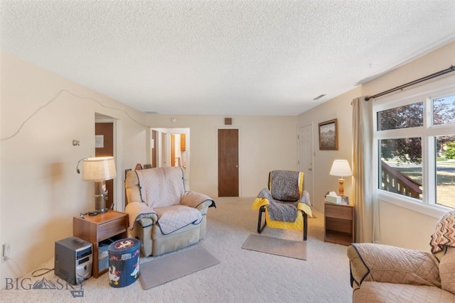 441 Valley Dr, Bozeman, MT 59718 - photo 16