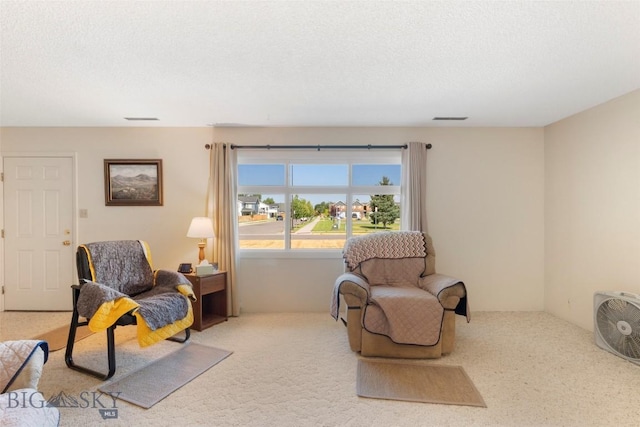 441 Valley Dr, Bozeman, MT 59718 - photo 17
