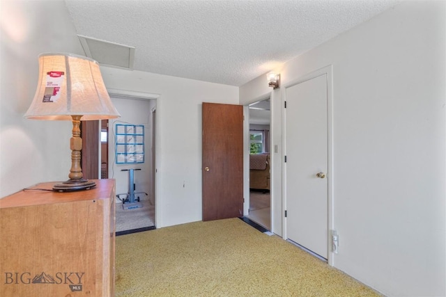 441 Valley Dr, Bozeman, MT 59718 - photo 31