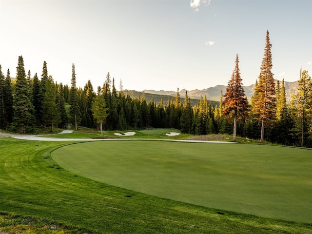 LOT59 Goshawk Rd, Big Sky, MT 59716 - photo 17