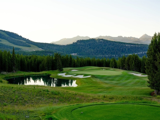 LOT59 Goshawk Rd, Big Sky, MT 59716 - photo 20