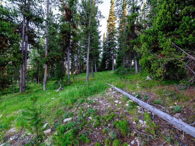 LOT59 Goshawk Rd, Big Sky, MT 59716 - photo 21