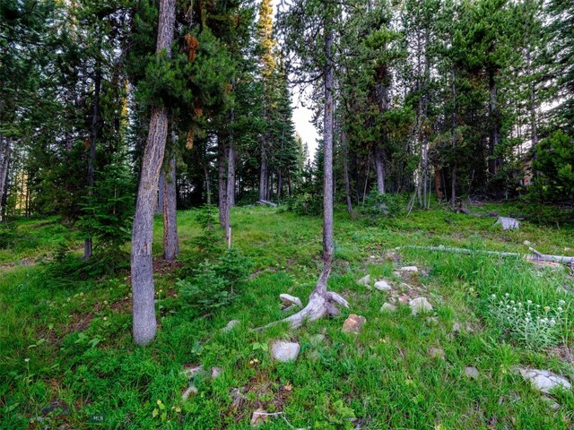 LOT59 Goshawk Rd, Big Sky, MT 59716 - photo 22