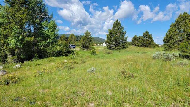 Nhn Mt Highway 1 W, Anaconda, MT 59711 - photo 5