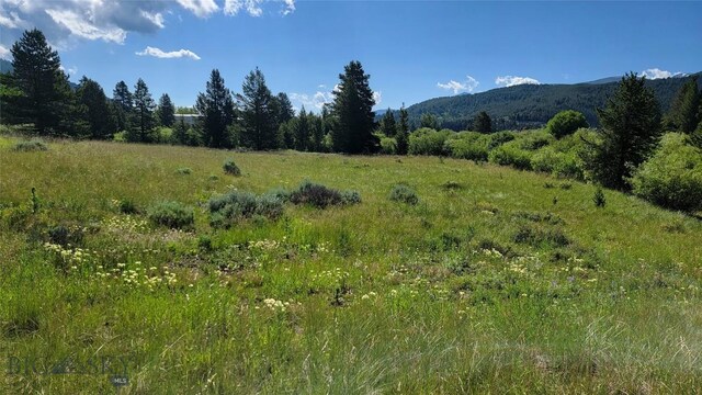 Nhn Mt Highway 1 W, Anaconda, MT 59711 - photo 6