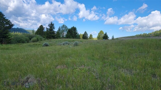 Nhn Mt Highway 1 W, Anaconda, MT 59711 - photo 7