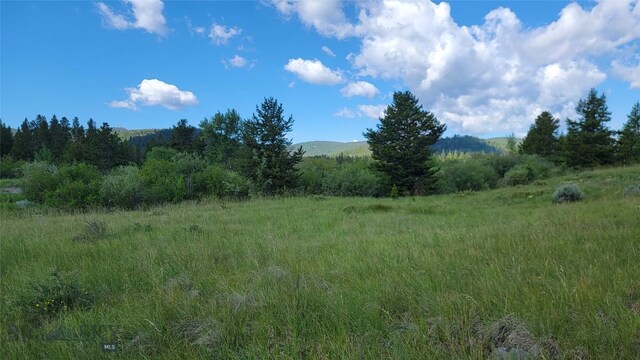 Nhn Mt Highway 1 W, Anaconda, MT 59711 - photo 8