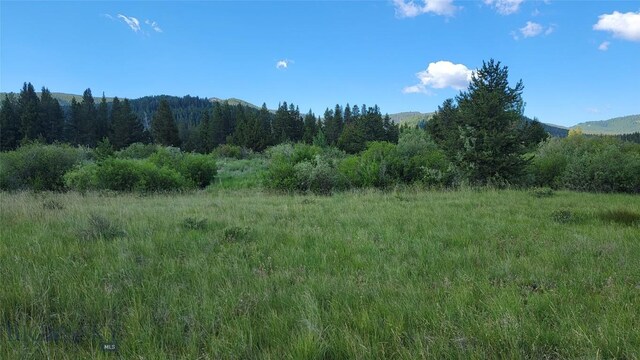 Nhn Mt Highway 1 W, Anaconda, MT 59711 - photo 9