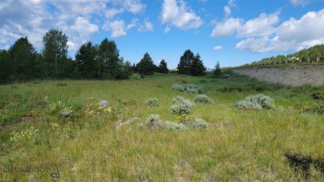 Nhn Mt Highway 1 W, Anaconda, MT 59711 - photo 10