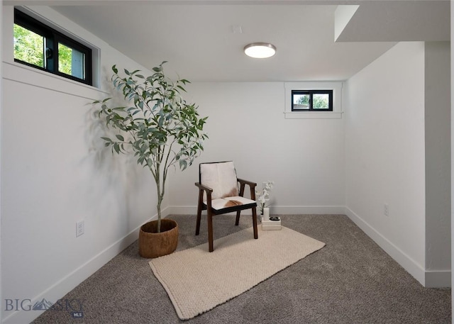 1233 N 8th Ave, Bozeman, MT 59715 - photo 32
