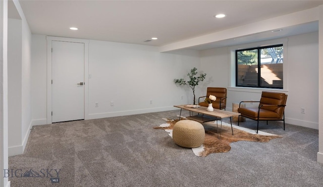 1233 N 8th Ave, Bozeman, MT 59715 - photo 27
