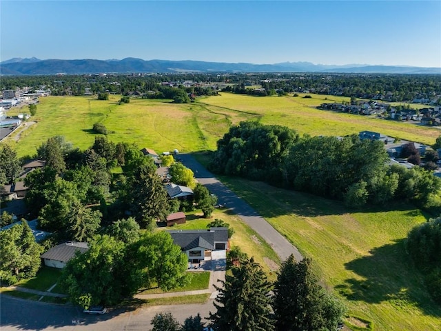 1233 N 8th Ave, Bozeman, MT 59715 - photo 39