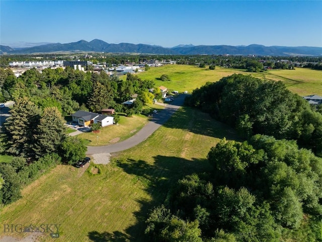1233 N 8th Ave, Bozeman, MT 59715 - photo 40