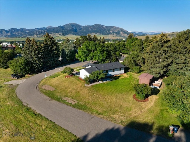 1233 N 8th Ave, Bozeman, MT 59715 - photo 4