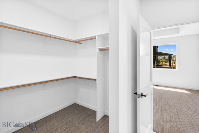 2817 S 30th Ave, Bozeman, MT 59718 - photo 16