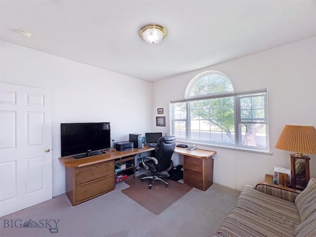 614 Monroe Ave, Dillon, MT 59725 - photo 23