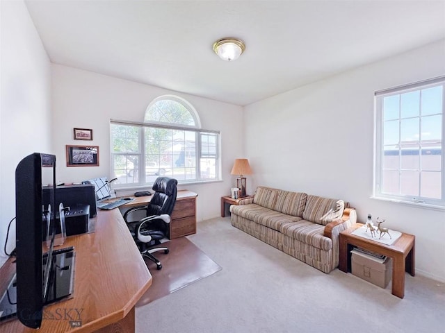 614 Monroe Ave, Dillon, MT 59725 - photo 24