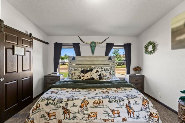 719 Mirza Way, Ennis, MT 59729 - photo 21