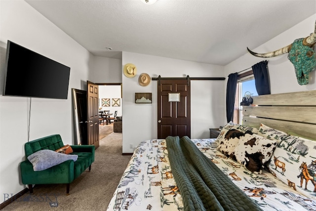719 Mirza Way, Ennis, MT 59729 - photo 22