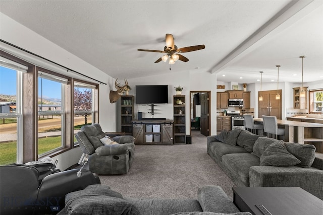 719 Mirza Way, Ennis, MT 59729 - photo 4