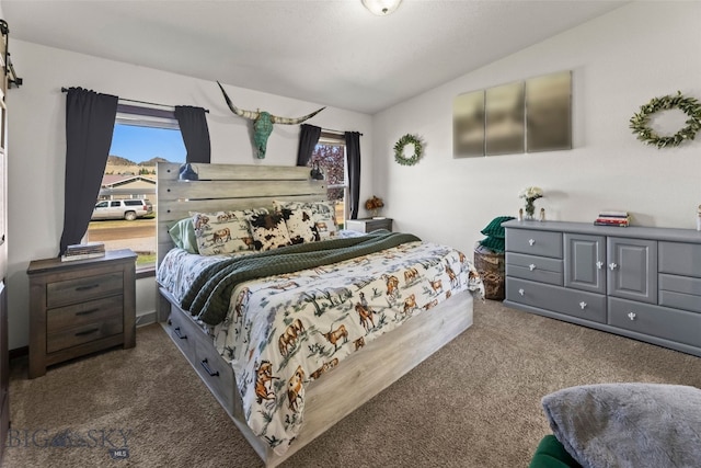 719 Mirza Way, Ennis, MT 59729 - photo 20