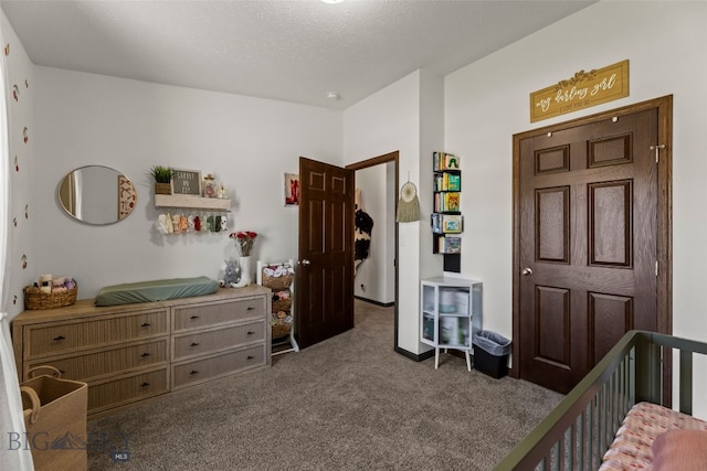 719 Mirza Way, Ennis, MT 59729 - photo 29
