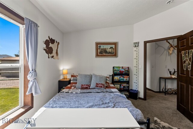 719 Mirza Way, Ennis, MT 59729 - photo 32