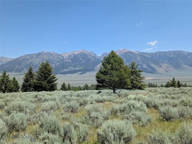Tbd Dutchman Trail, Cameron, MT 59720 - photo 4