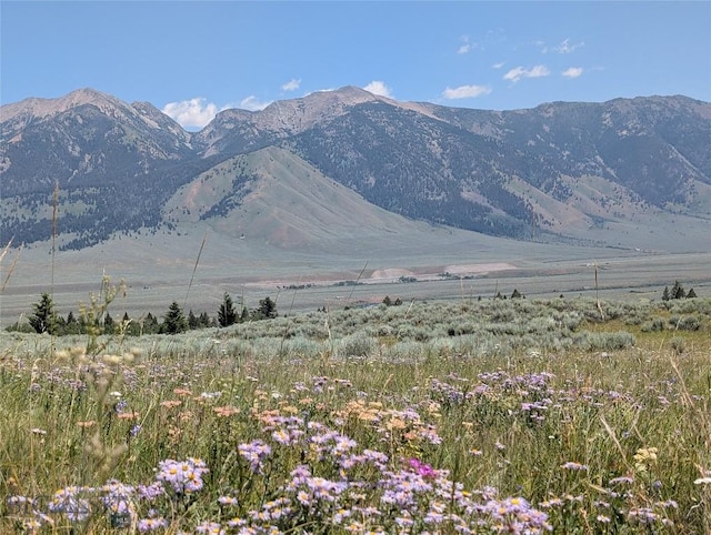 Tbd Dutchman Trail, Cameron, MT 59720 - photo 8