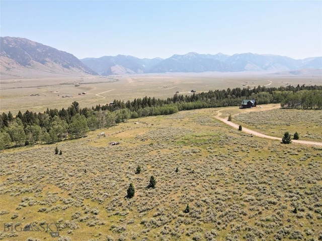 Tbd Dutchman Trail, Cameron, MT 59720 - photo 9