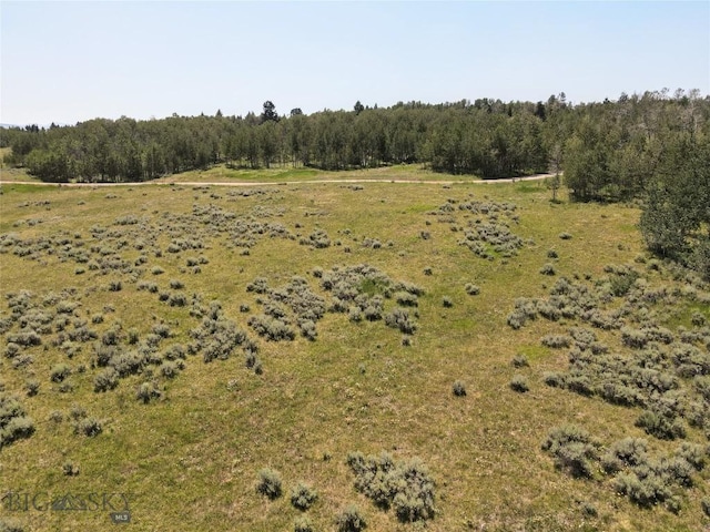 Tbd Dutchman Trail, Cameron, MT 59720 - photo 13