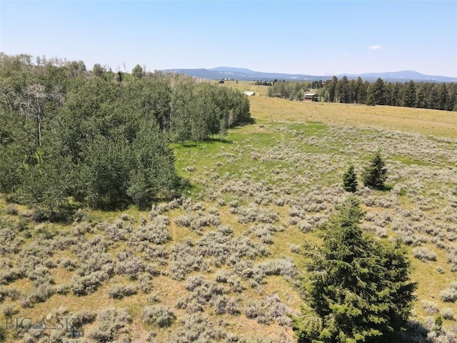 Tbd Dutchman Trail, Cameron, MT 59720 - photo 14