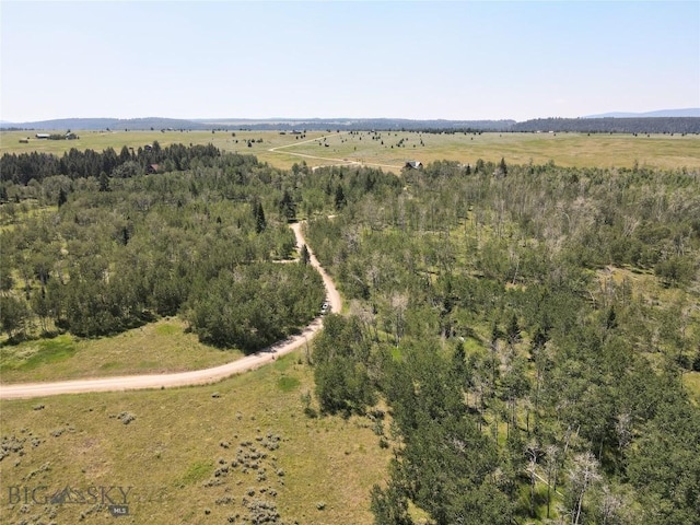 Tbd Dutchman Trail, Cameron, MT 59720 - photo 15